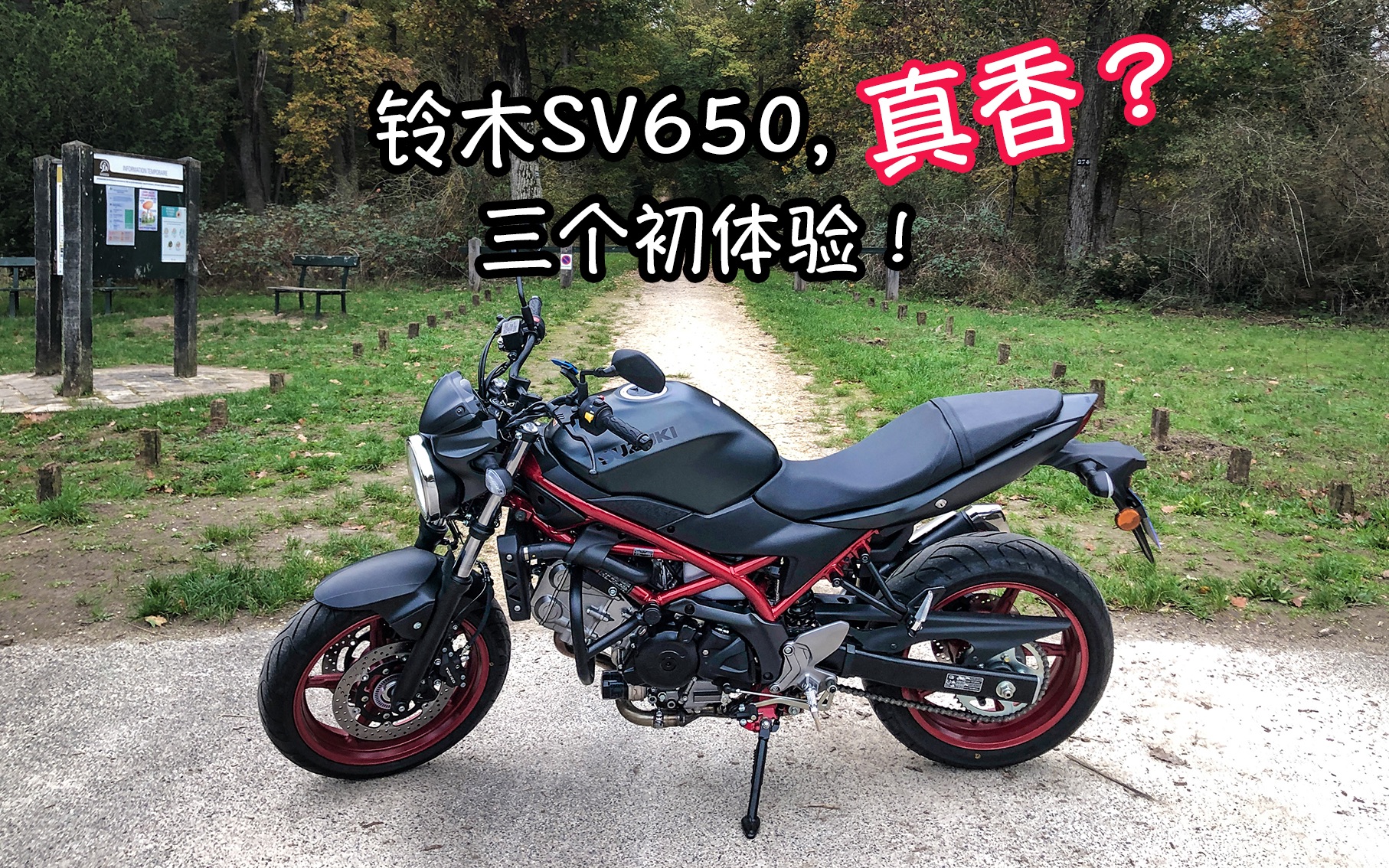 铃木SV650新车深入体验,她香吗?骑行法国Vlog17哔哩哔哩bilibili