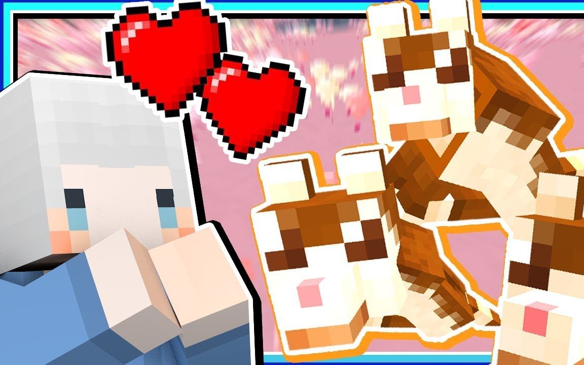 小白解说我的世界糖果世界05 会生产糖浆的狗狗 我终于有朋友了