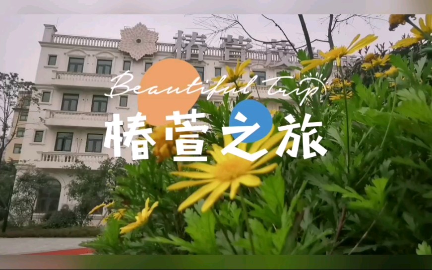 椿萱之旅哔哩哔哩bilibili