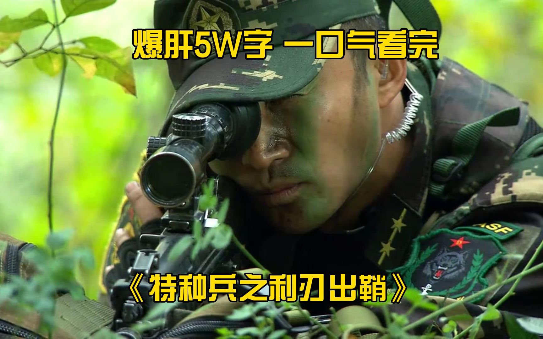 爆肝5W字,一口气看完《特种兵之利刃出鞘》全集!哔哩哔哩bilibili