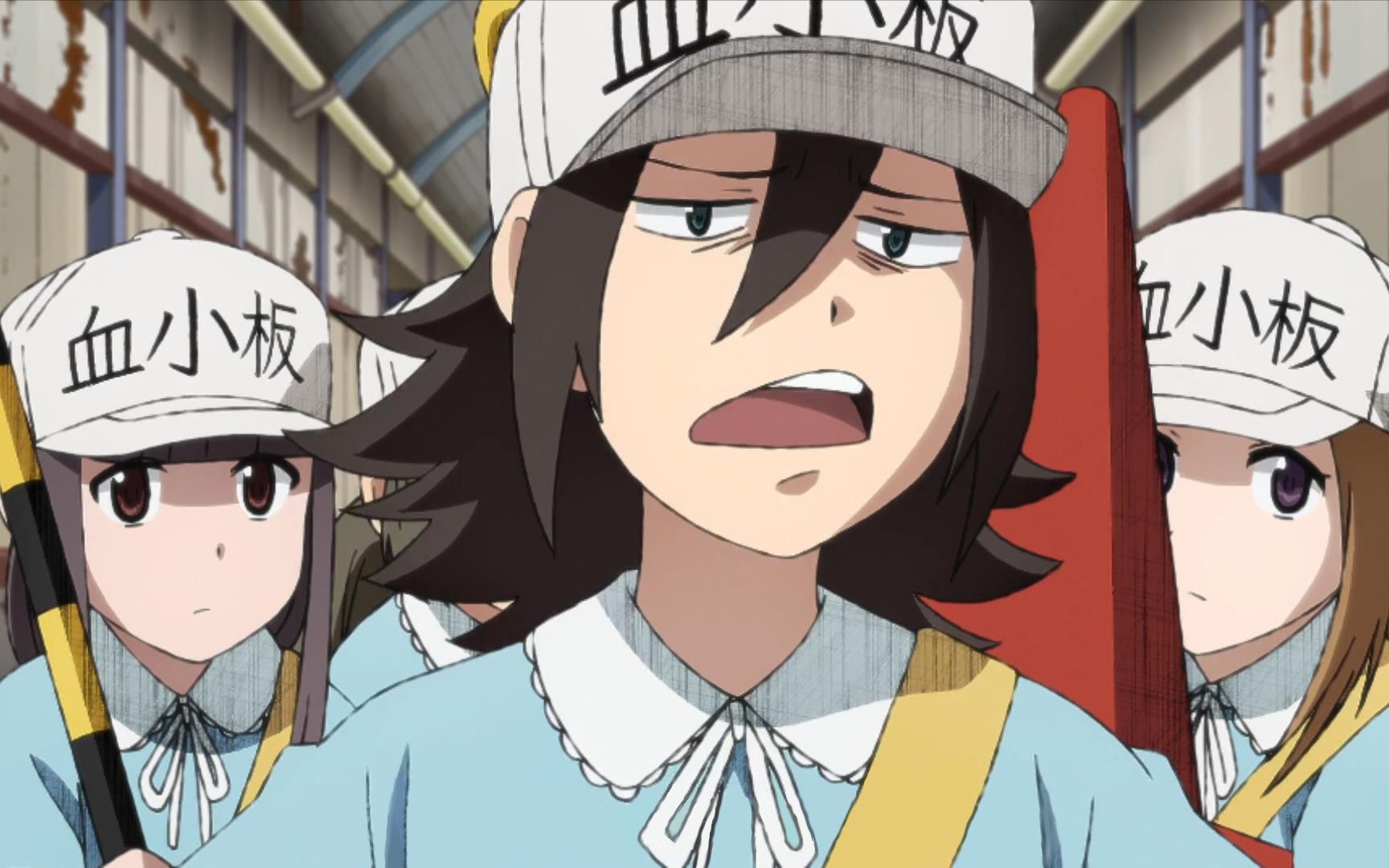 工作细胞×战斗细胞