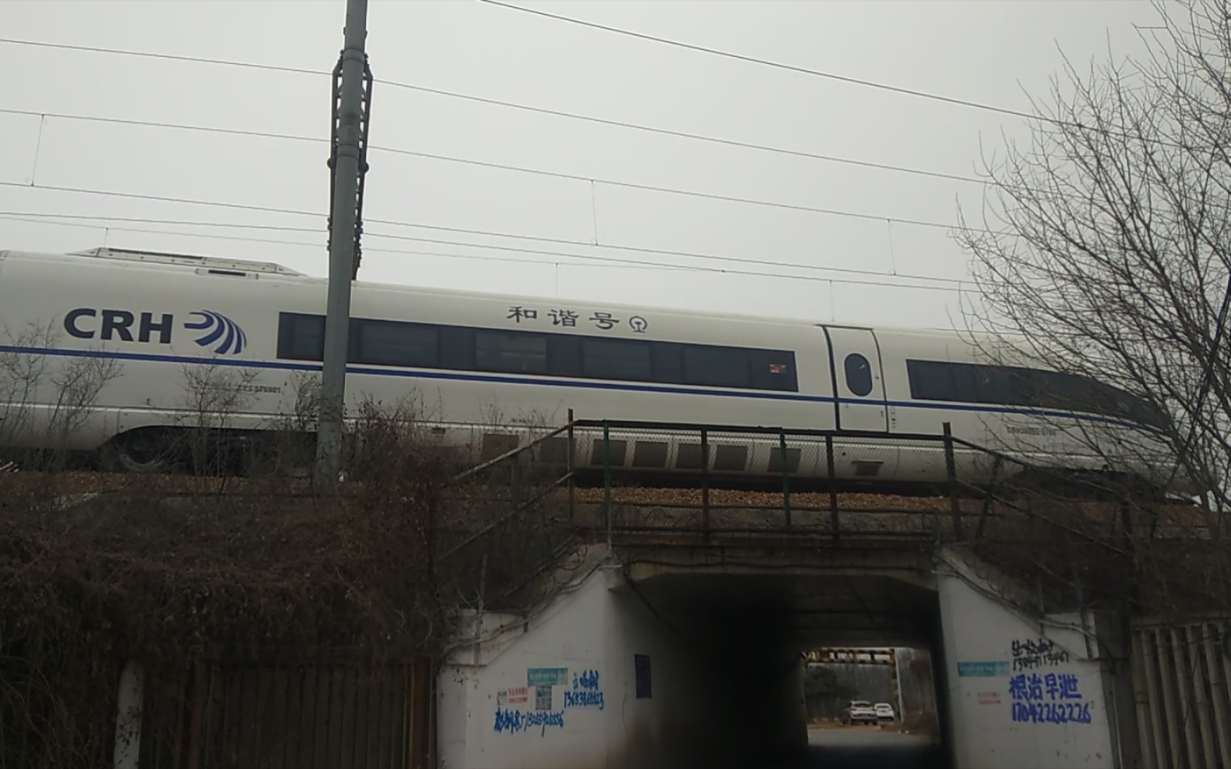 CRH380BG5762/5769 担当G1281/4次(沈阳北~成都东)晚点28分钟进入巩义南站哔哩哔哩bilibili