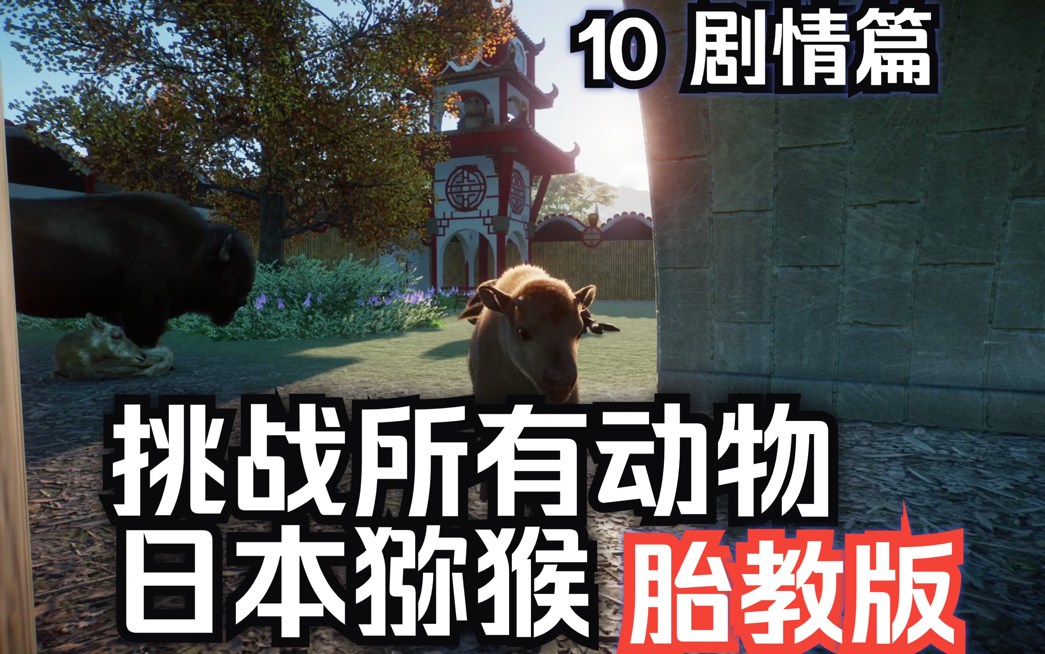 【动物园之星】10挑战所有动物日本猕猴