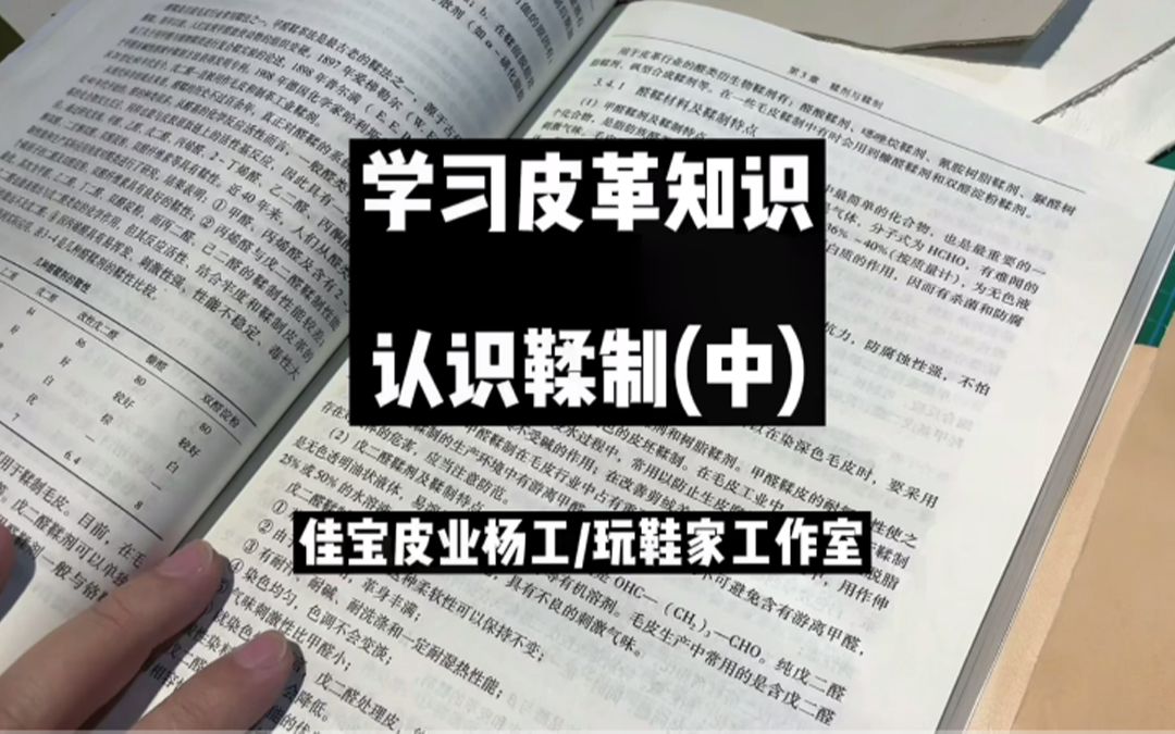 玩鞋家工作室——学习皮革知识 认识鞣制(中)哔哩哔哩bilibili