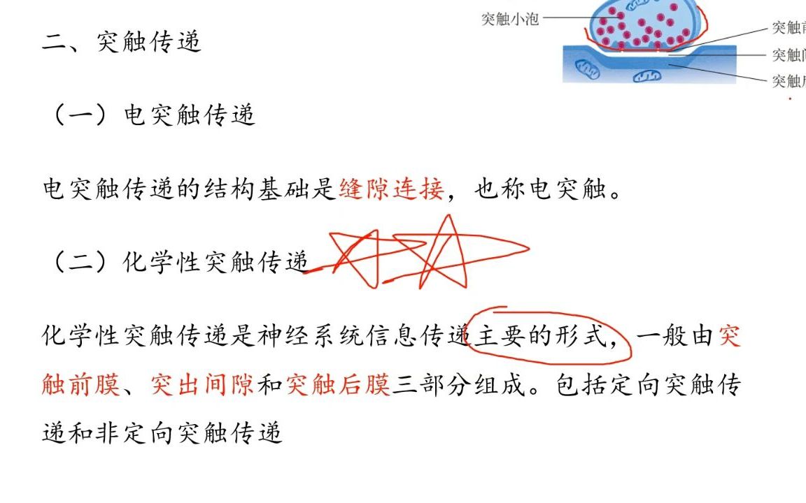 [图]生理9-神经系统