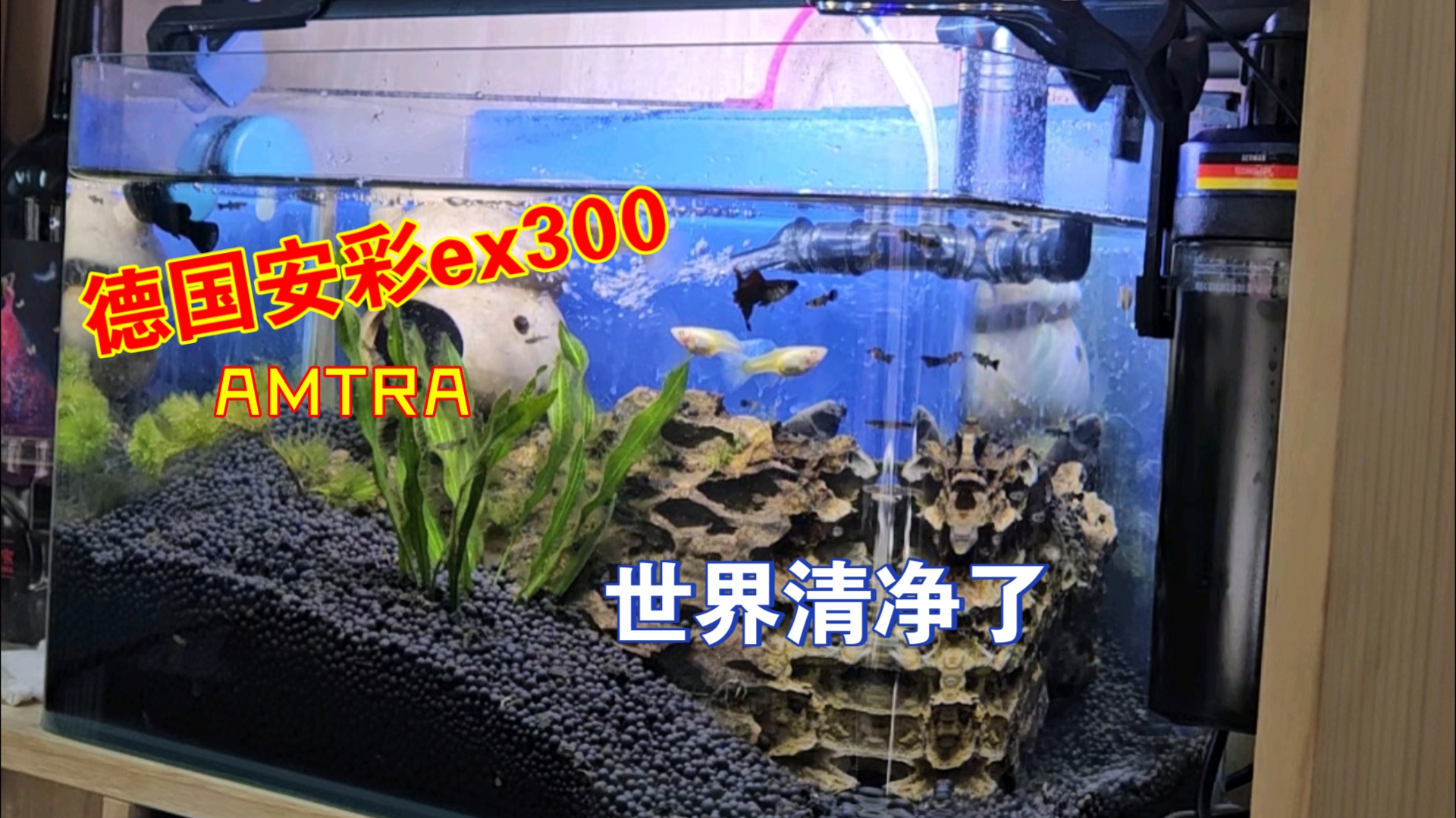 安彩过滤器 EX300 小鱼缸哔哩哔哩bilibili