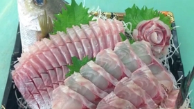 美食实拍 金头鲷刺身的诞生 美丽又美味 哔哩哔哩 つロ干杯 Bilibili