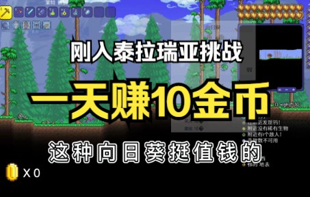 【泰拉瑞亚】第一天能赚够10金币吗?第一天赚钱有多难~杂谈