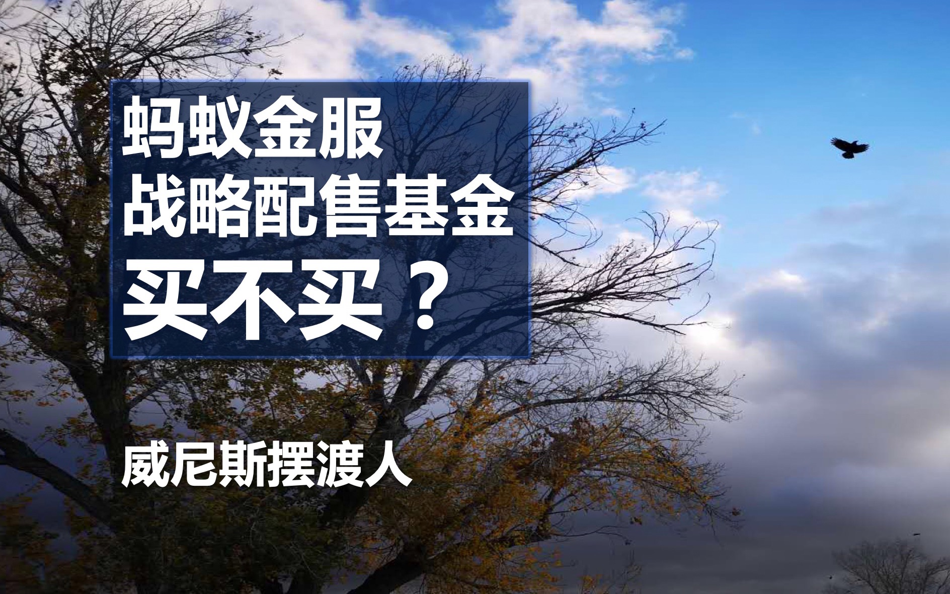 蚂蚁战配基金广告满飞天,你真的了解它们吗?买不买?哔哩哔哩bilibili