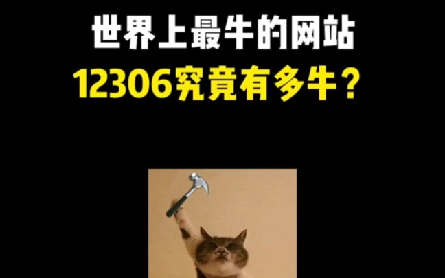 世界上最牛的网站,12306究竟有多牛?哔哩哔哩bilibili