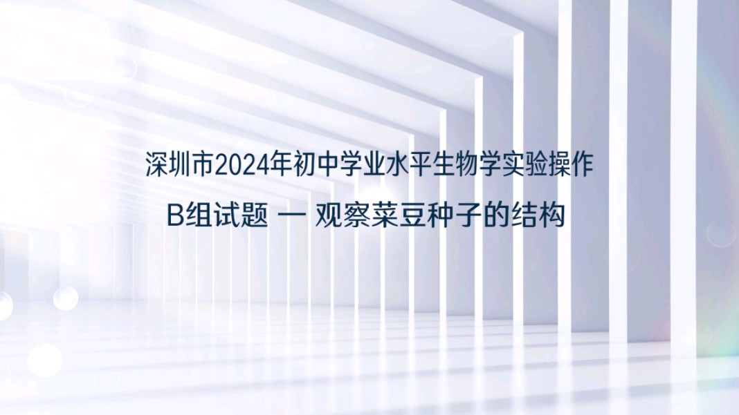 深圳市2024年初中学业水平生物学实验操作b组试题观察菜豆种子的结构哔哩哔哩bilibili