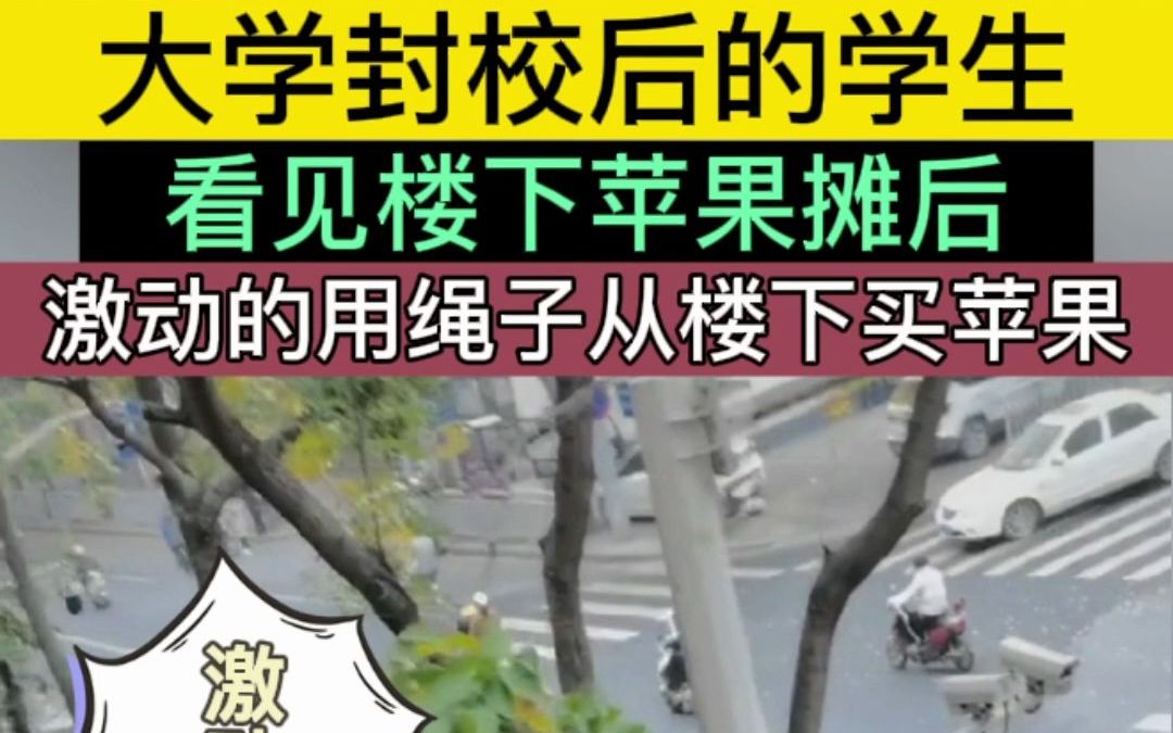 封校后的大学生:用绳子从楼下买苹果哔哩哔哩bilibili