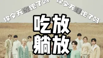 【SEVENTEEN】全员吃放躺放直播中字合集