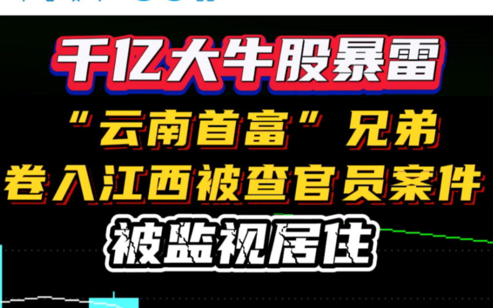 千亿大牛股暴雷!“云南首富”兄弟卷入江西被查官员案件,被监视居住哔哩哔哩bilibili