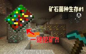 Video herunterladen: 再也下载不了的老版本神级模组？！| 矿石菌种生存#1【我的世界】