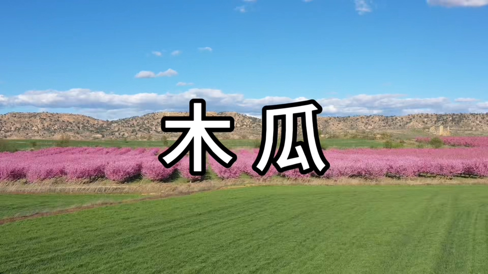 《诗经》ⷩ㎂𗮐Š木瓜哔哩哔哩bilibili