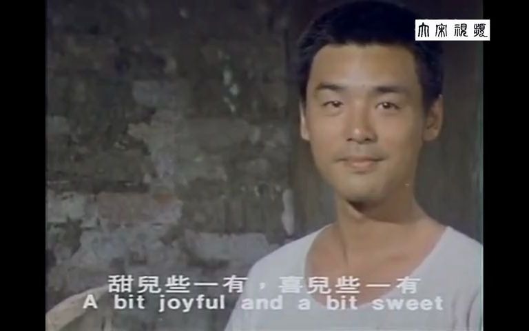 [图]怀旧电影金曲1979小城故事插曲全集·邓丽君演唱钟镇涛林凤娇主演