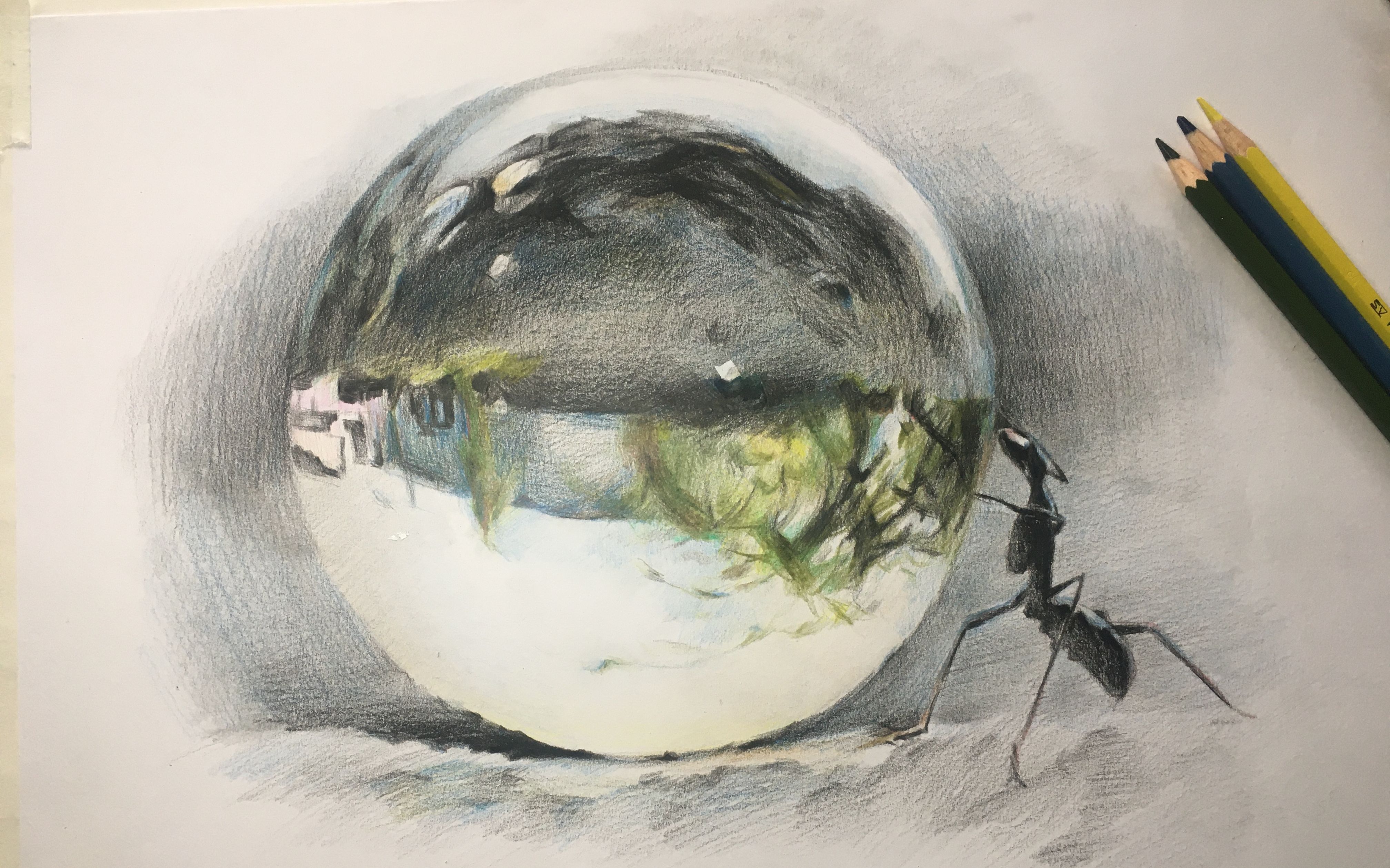 活动作品彩铅画蚂蚁喝水