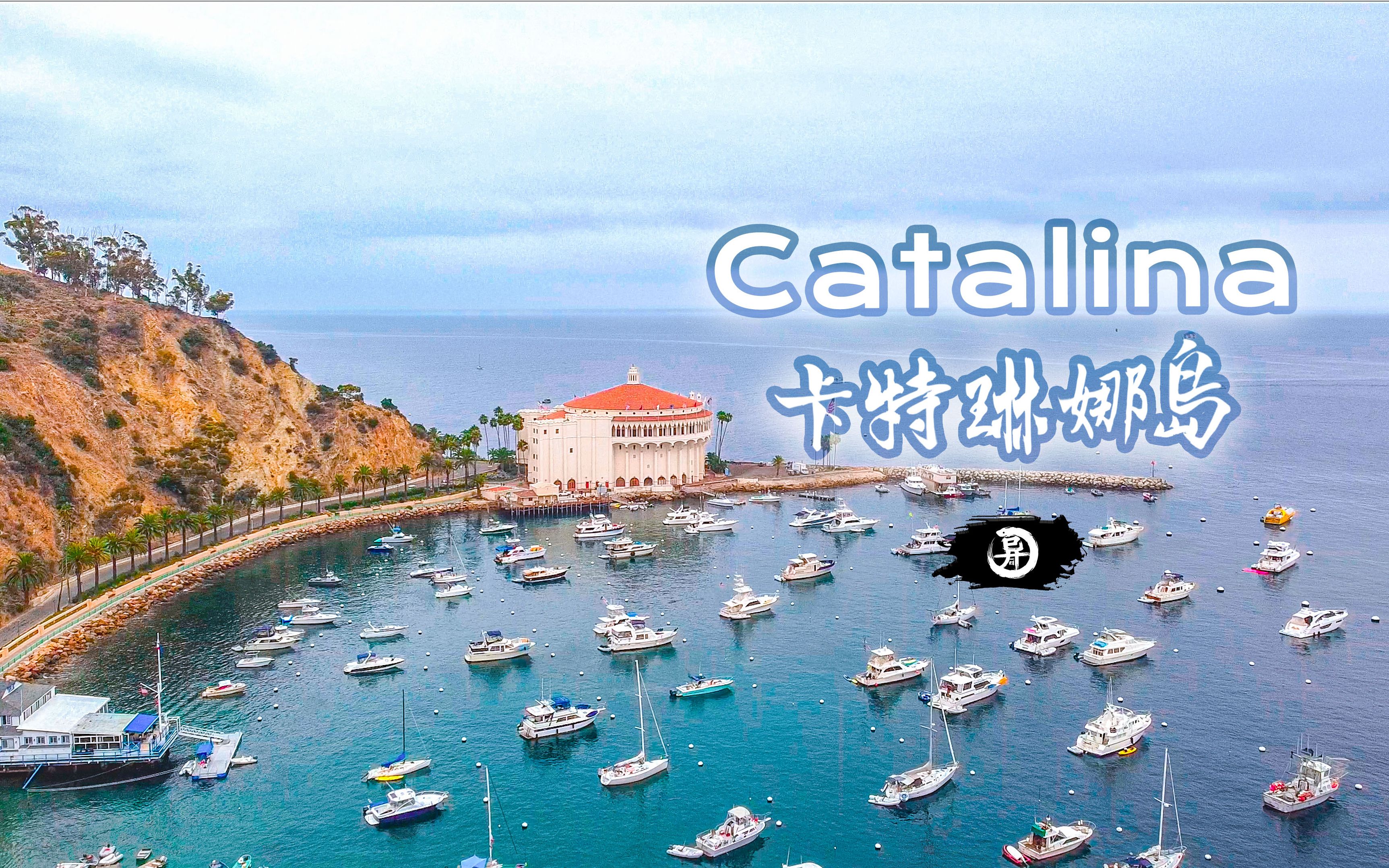 卡特琳娜岛Catalina island——美国加州西海岸的宝岛/苹果系统的封面图哔哩哔哩bilibili