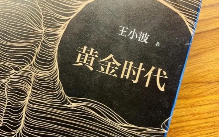 【文学作品阅读】《革命时期的爱情》王小波 助眠神器 全本持续更新哔哩哔哩bilibili