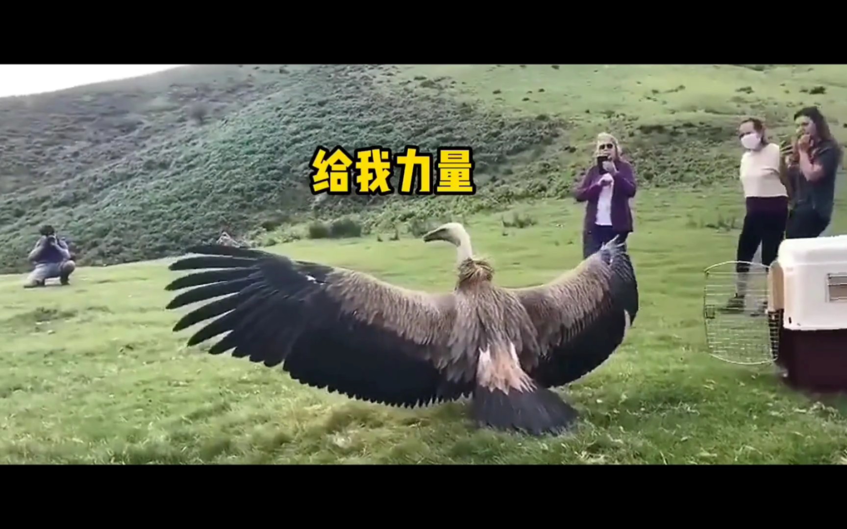 快来给我超级力量!