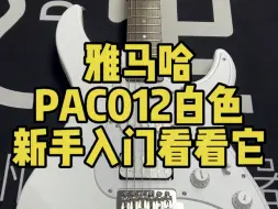 雅马哈PAC012，新手入门看看它！