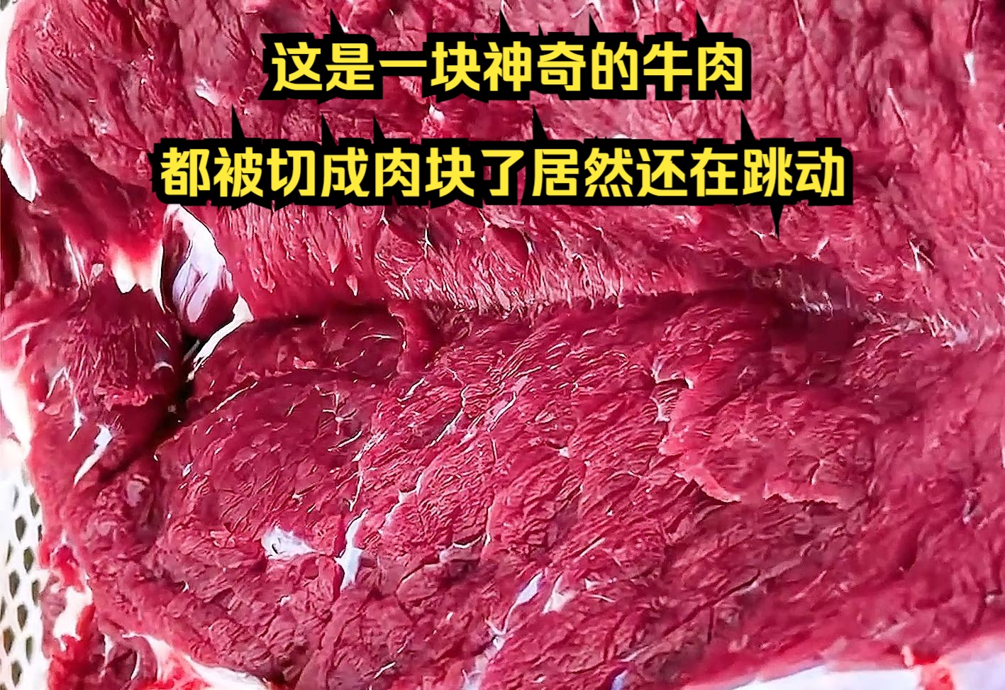 [图]这是一块神奇的牛肉，都被切成肉块了居然还在跳动