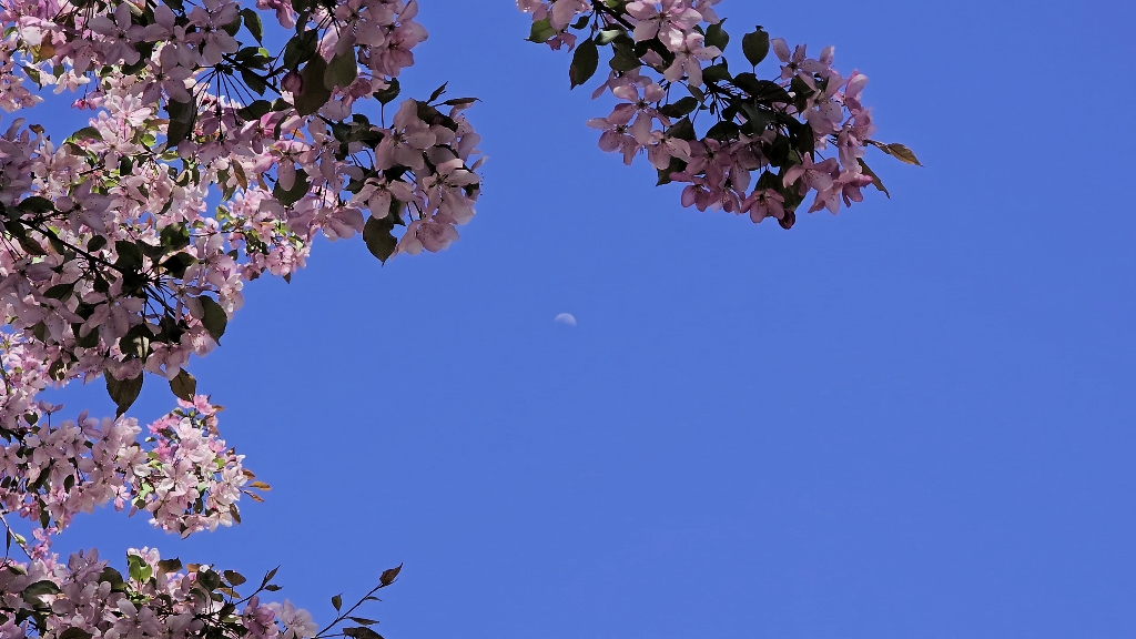 三星galaxy s23 ultra4khdr视频记录