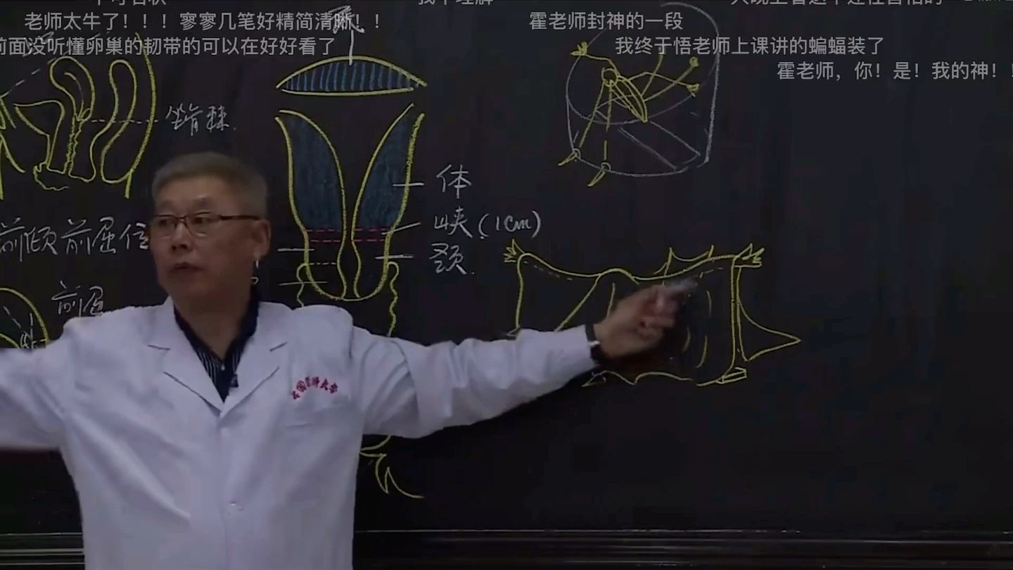 让你用特别的方式学会子宫四个韧带分布!哔哩哔哩bilibili