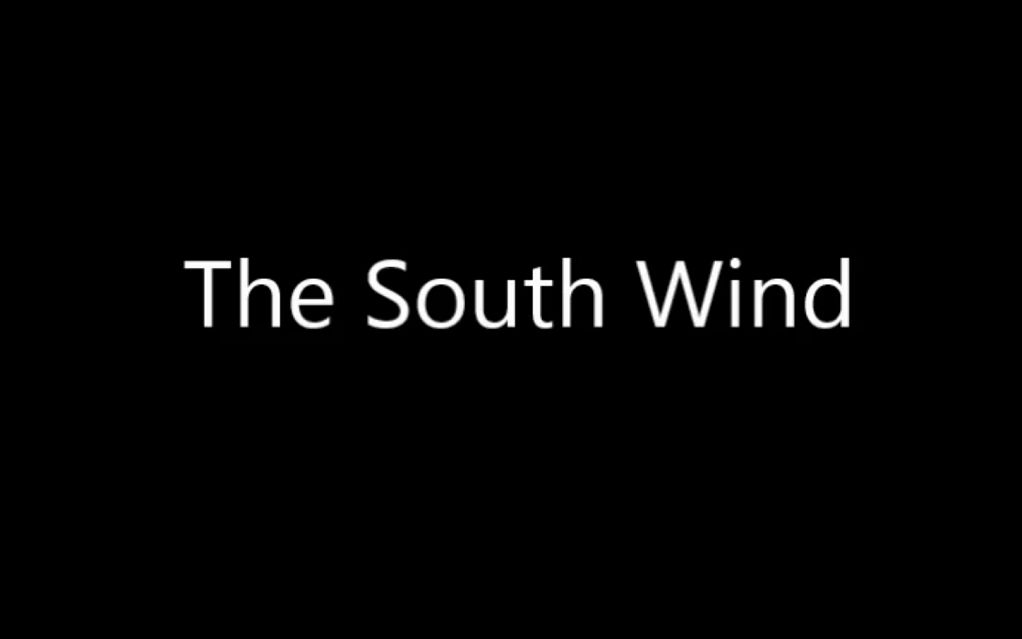 【哨笛】【爱尔兰画眉】The South Wind(南来风)哔哩哔哩bilibili