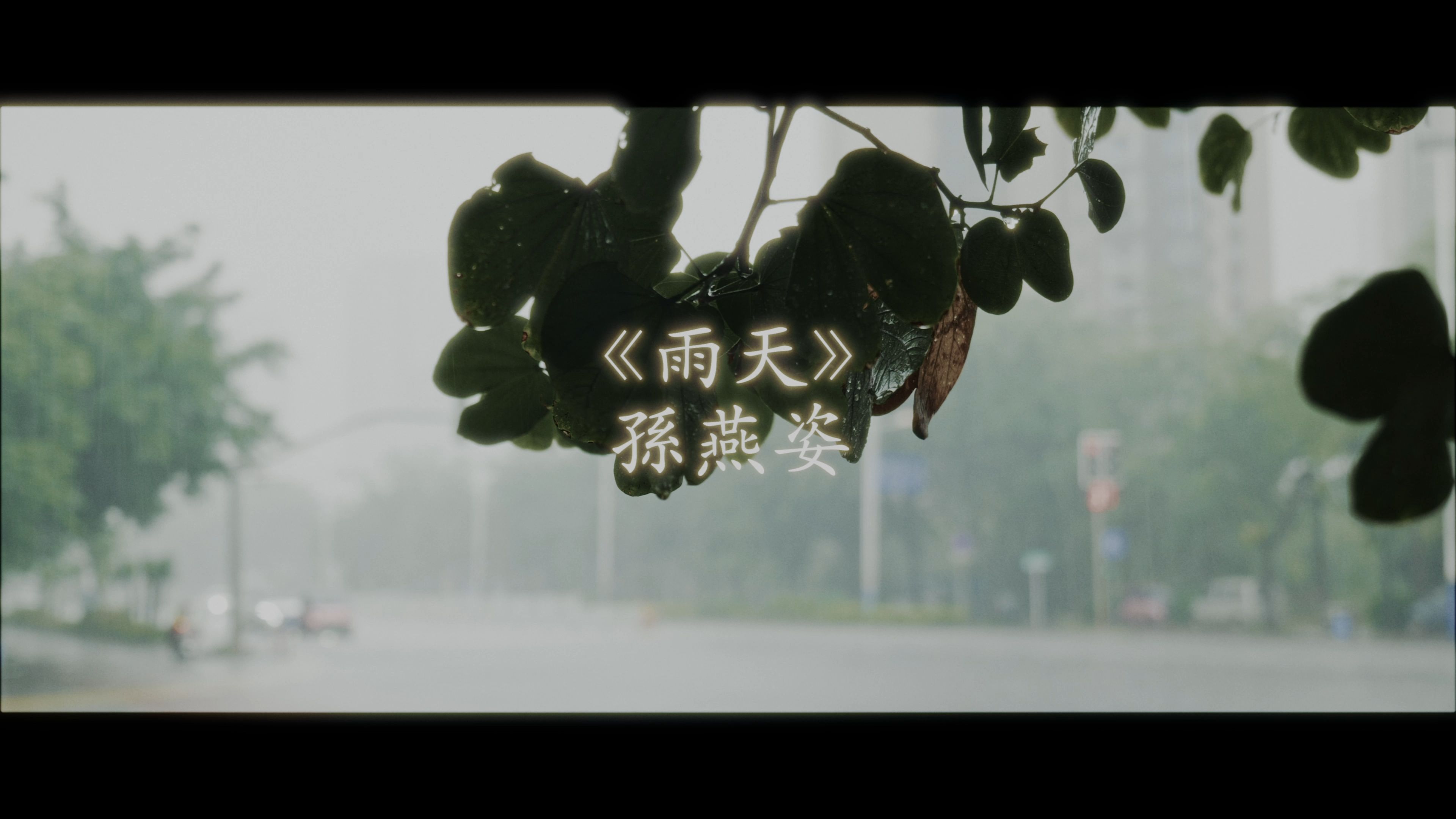 摄像记录:阴雨天气到底谁会喜欢啊哔哩哔哩bilibili