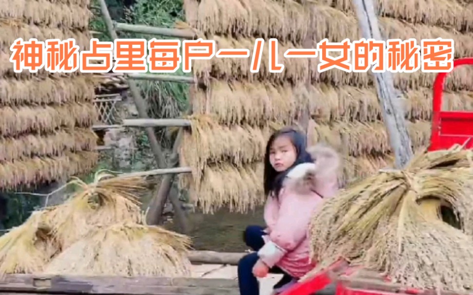 [图]#贵州美好推荐官 #神秘占里#念乡人#带你看家乡 神秘的#侗寨 #换花草 这里每家每户都是一儿一女的#神奇花草