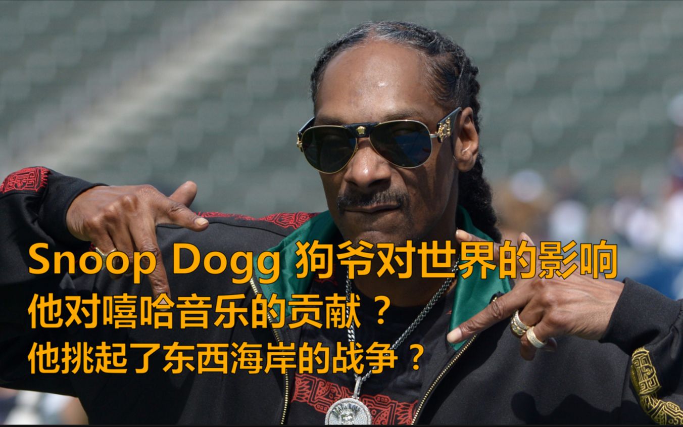 狗爷diss姆爷你敢信snoopdogg狗爷对世界的影响snoopdogg二十年的音乐