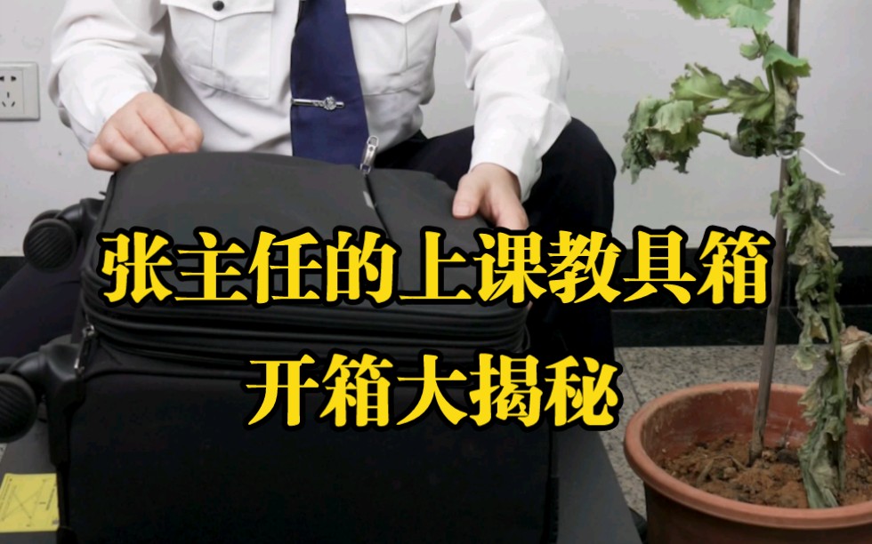 我们带去学校讲课的教具箱里有什么?哔哩哔哩bilibili