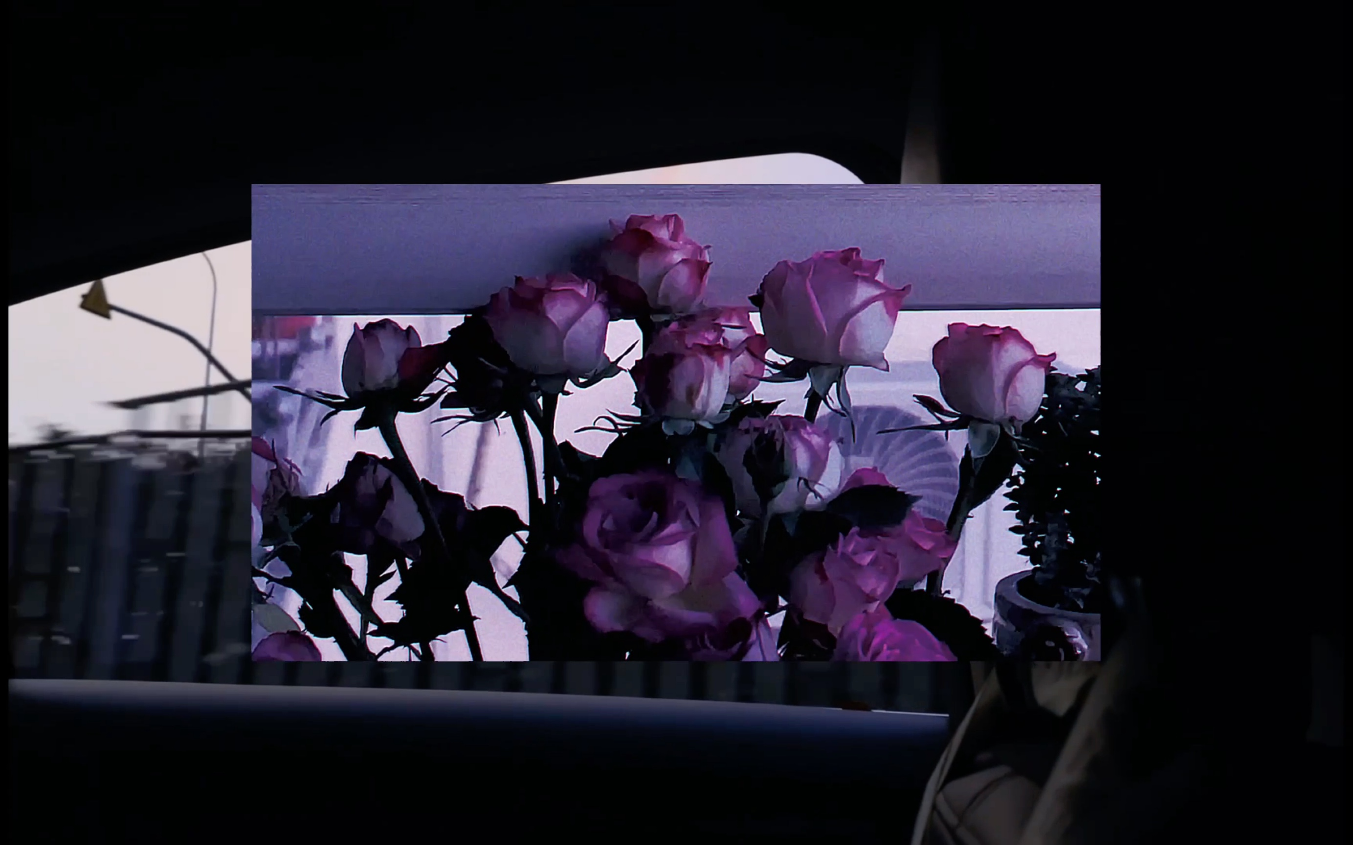 vlog.遗憾2022 但还是无限的我