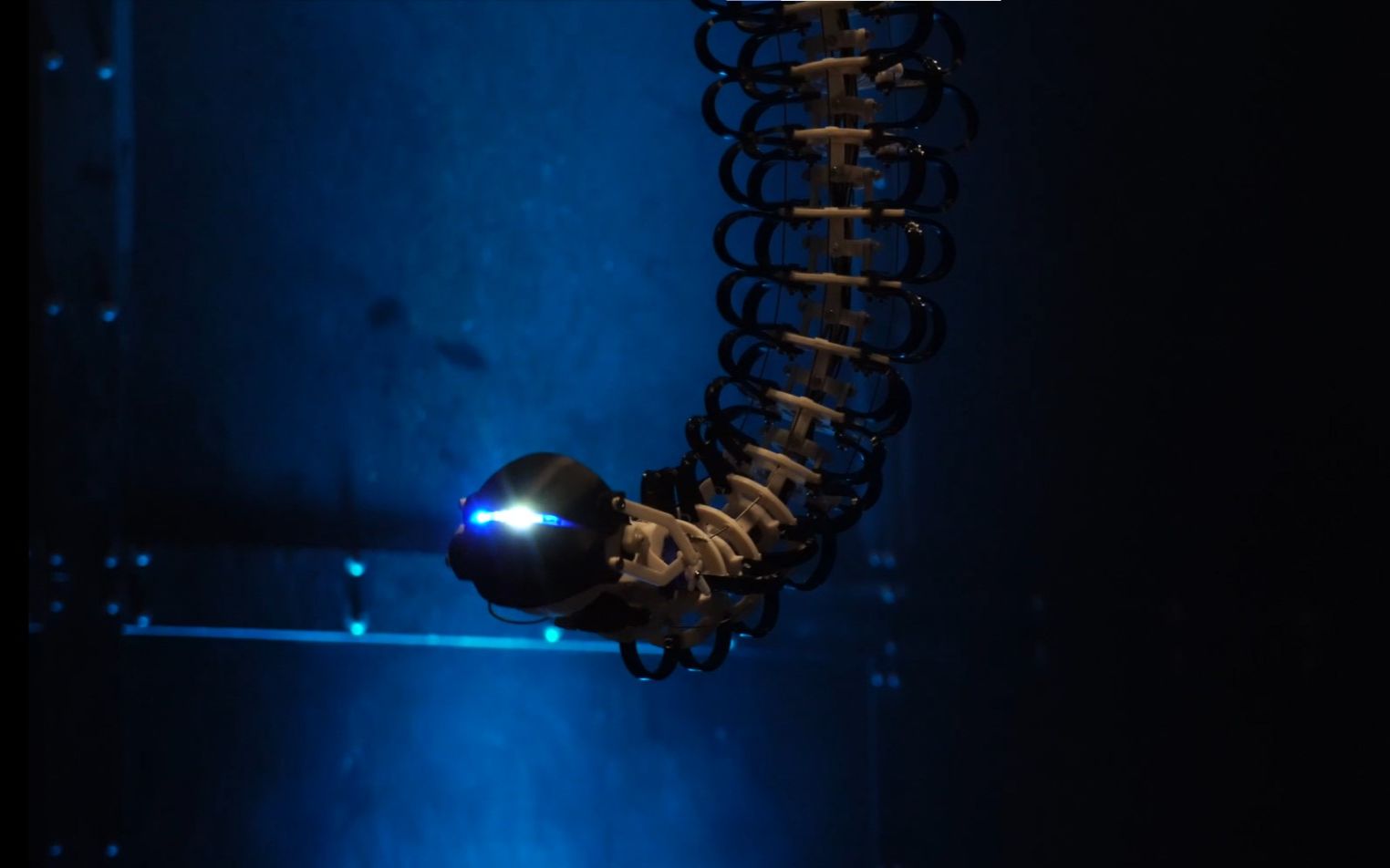 ucl-dfpi: have we met? 好奇的机械触手——制作过程与展览记录