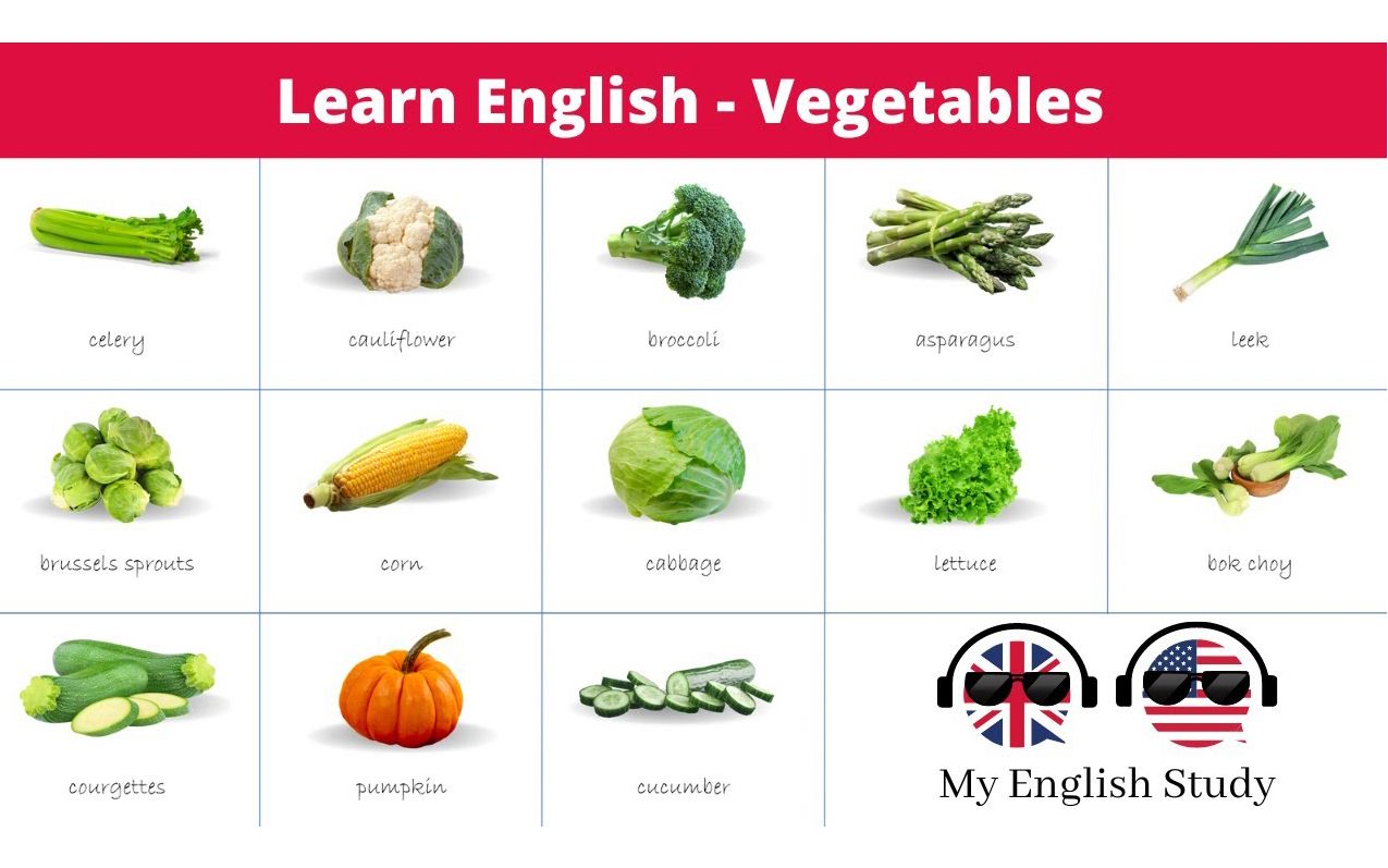 learn english vocabulary 