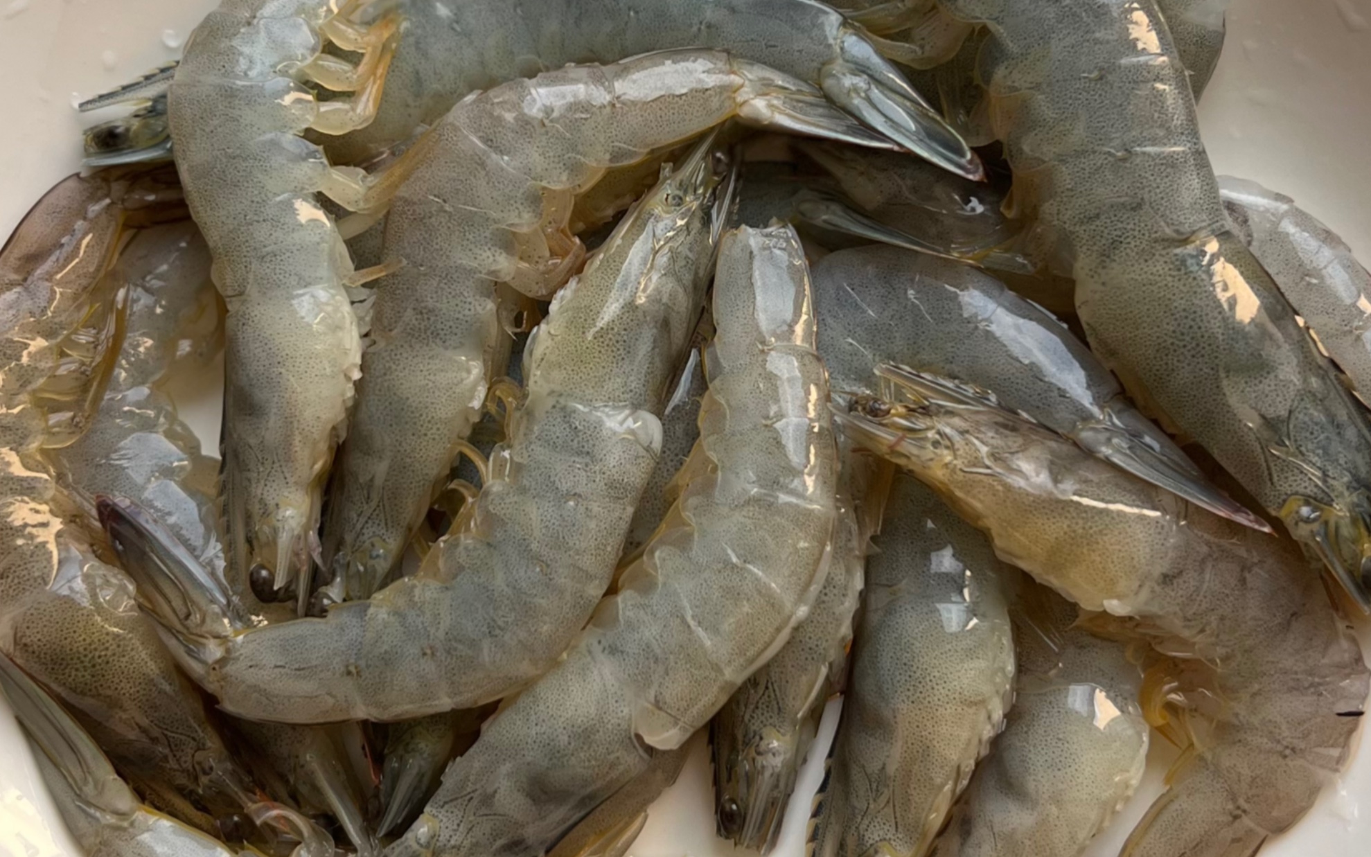 第一次开虾背 没想象中那么难