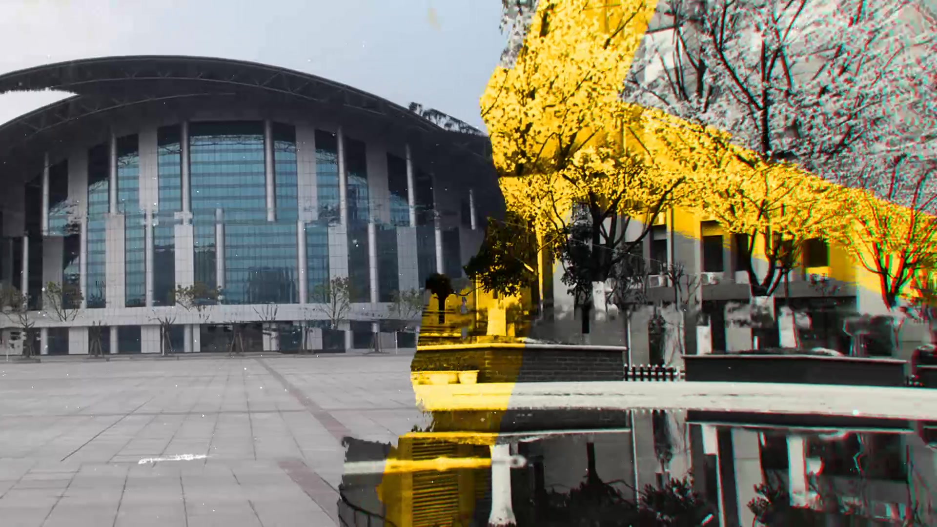 我们的一中故事(公安县第一中学)