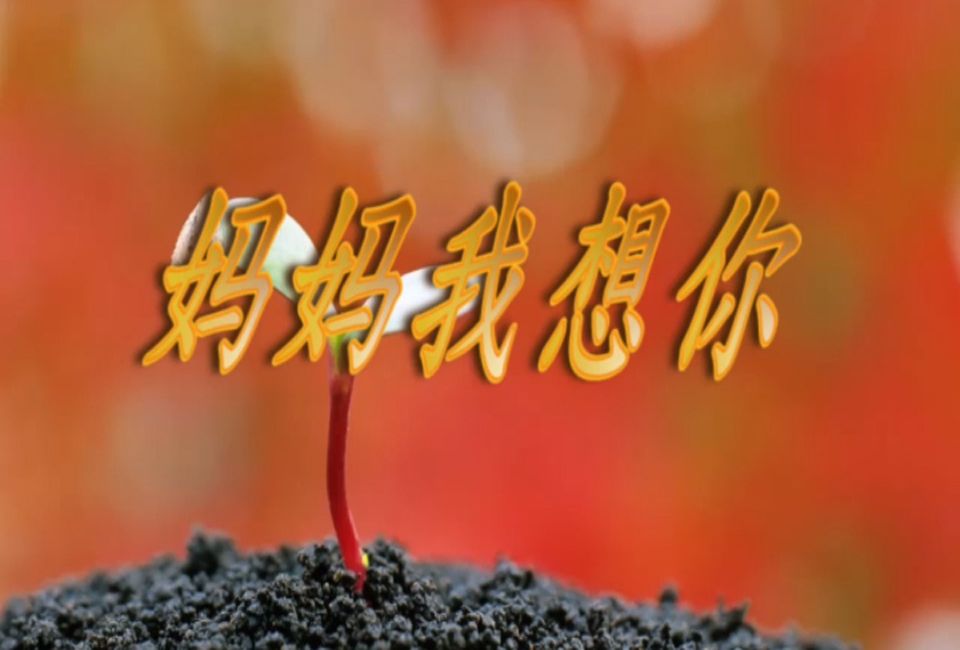 歌曲-妈妈我想你