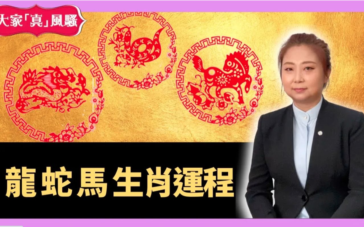 奇门遁甲 (玄学真风骚) 张芯熏师傅 20201220 - 影音视频 - 小不点