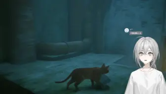 【实况】猫，人很累但播了