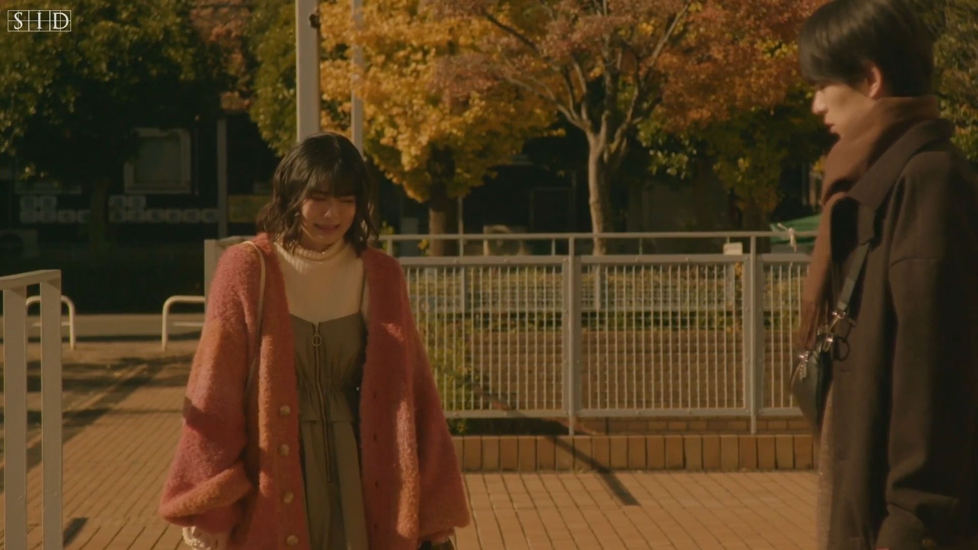 新日剧【我的草莓胶卷】5-3