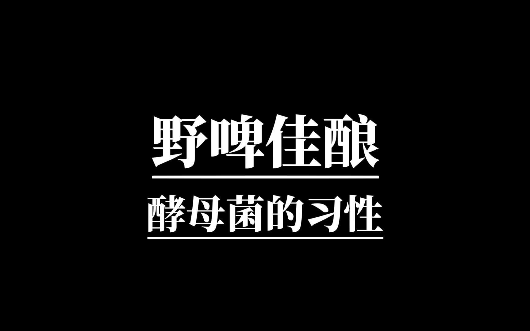 啤酒酿造之酵母的习性哔哩哔哩bilibili