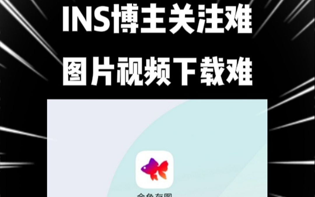 国内INS平替APP推荐
