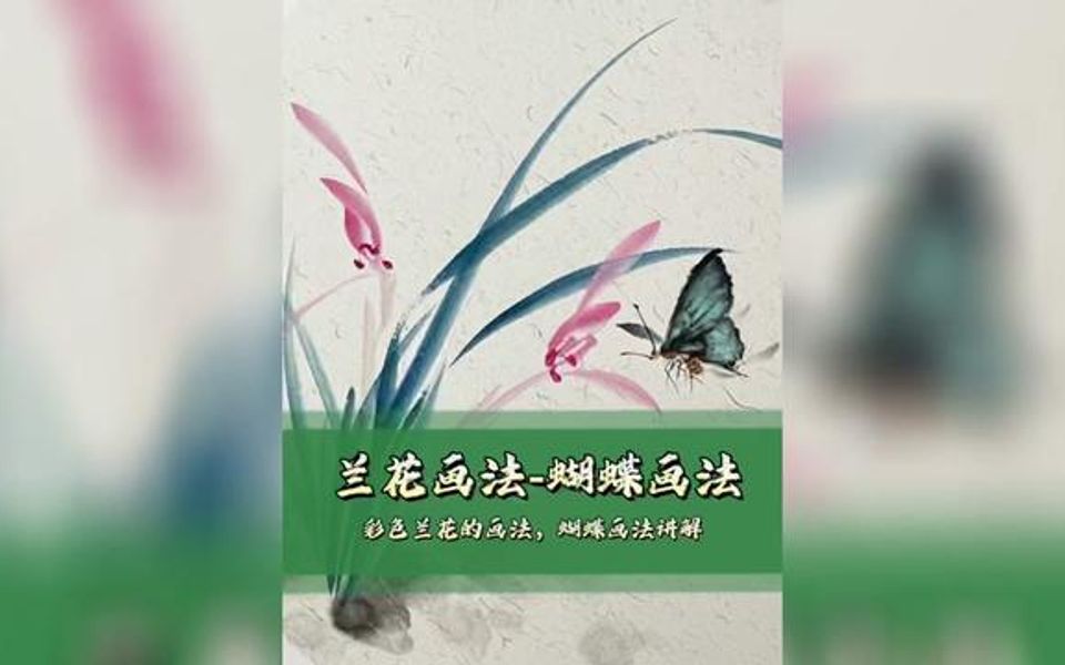 [图]青青芳草如我心，兰花蝴蝶画法分享