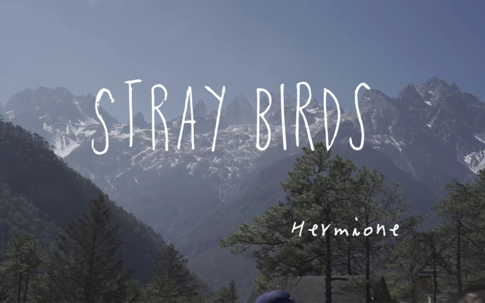 [图]Stray Birds ｜泰戈尔飞鸟集｜英语配音