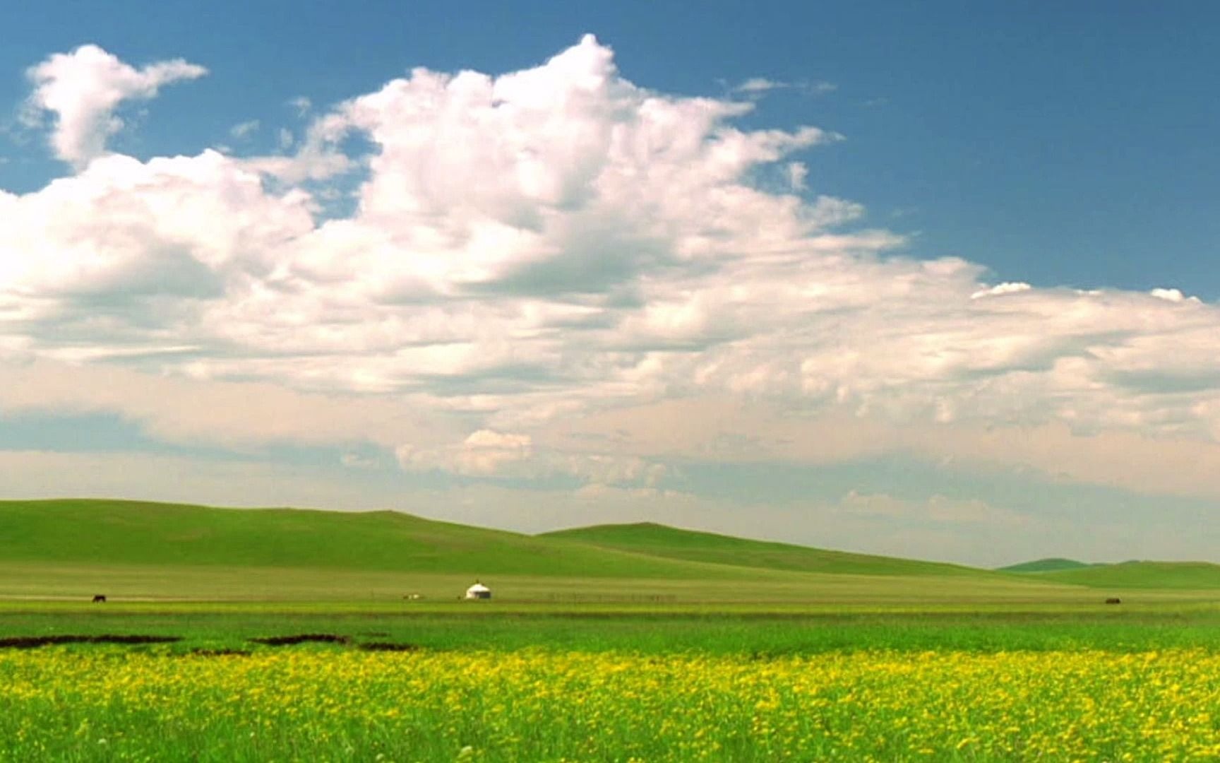 额尔古纳河蒙古草原风光蒙古包背景视频
