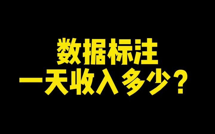 数据标注一天收入多少哔哩哔哩bilibili