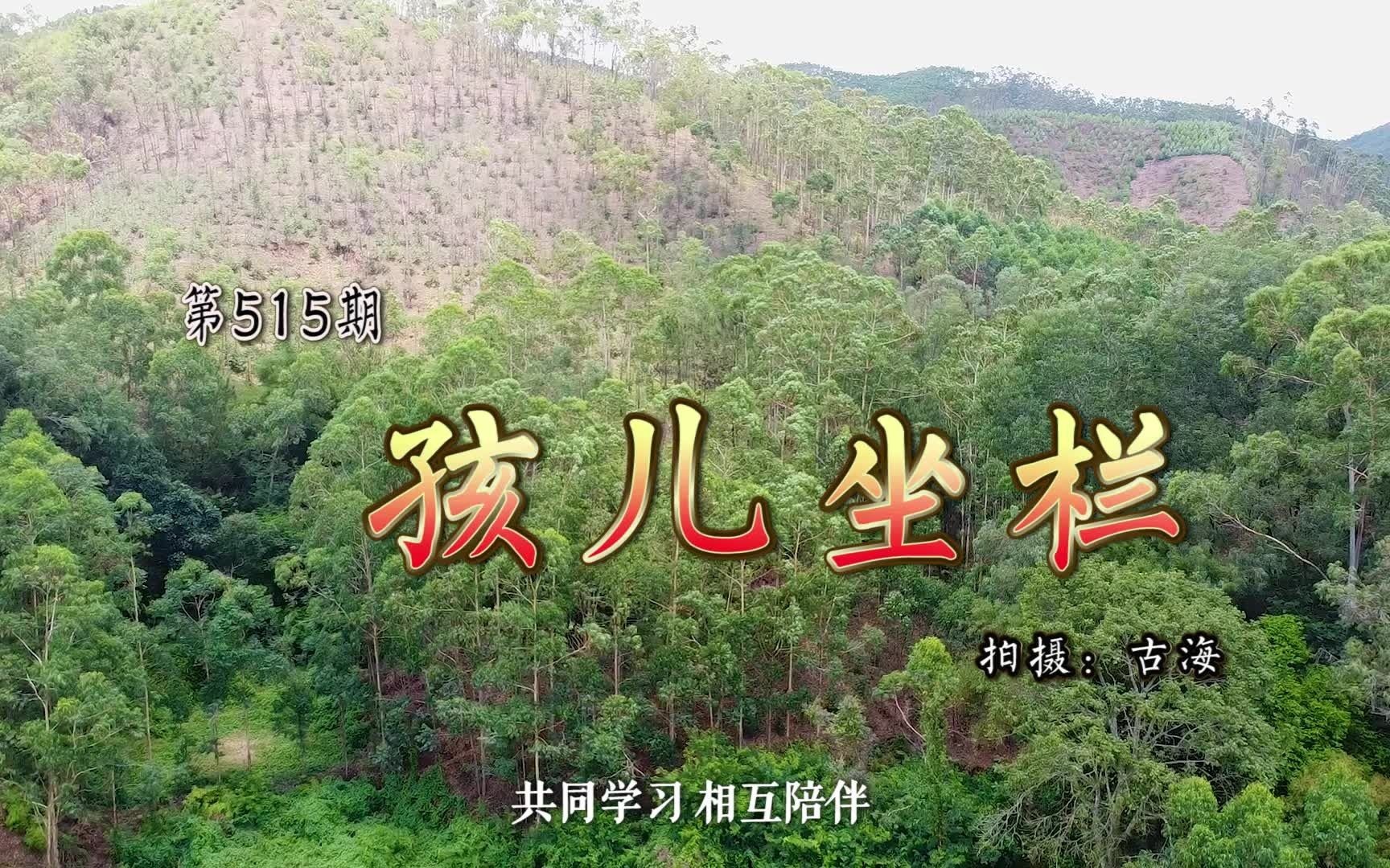 带你去看广西陆川江念泉点谢氏孩儿坐栏